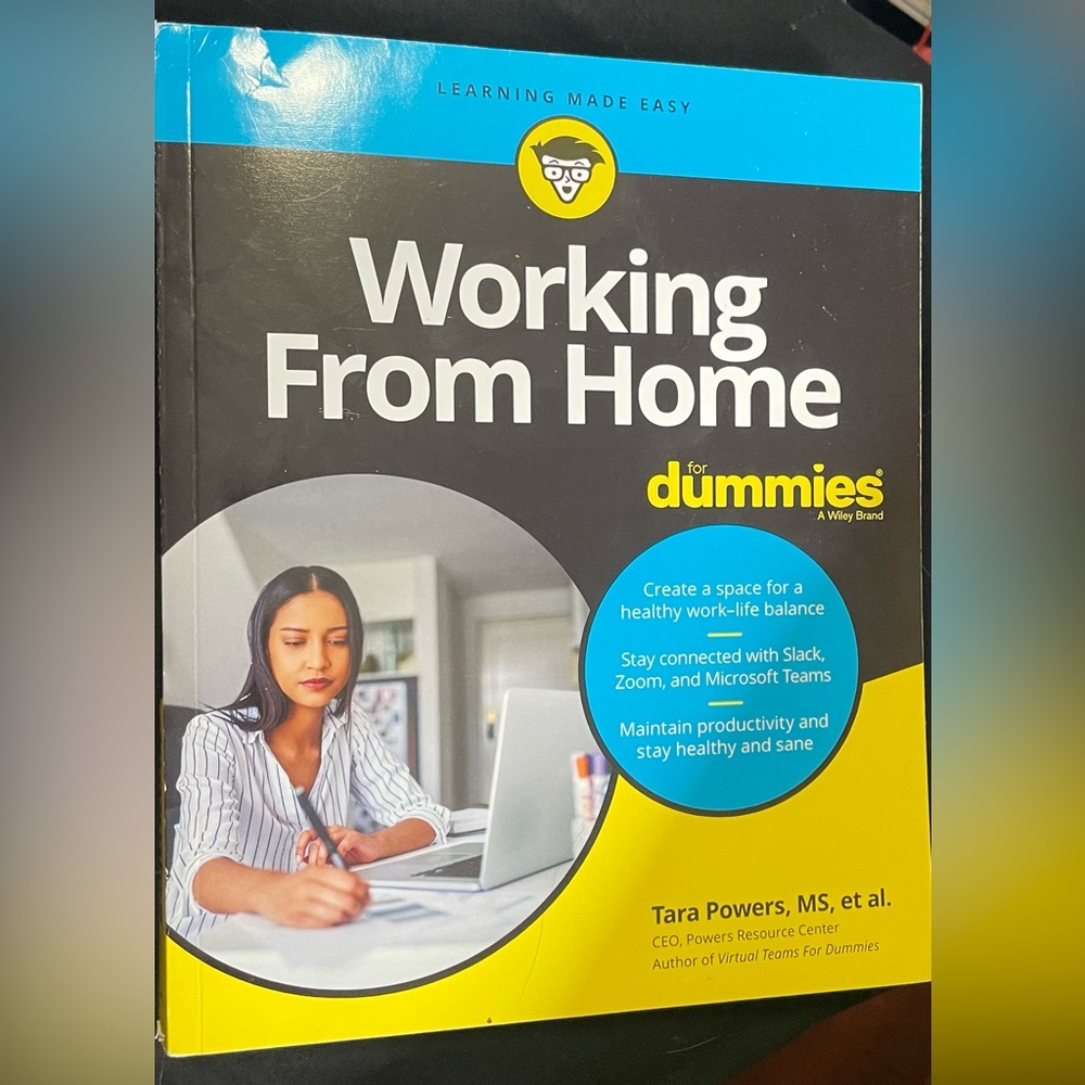 Working From Home for Dummies Book